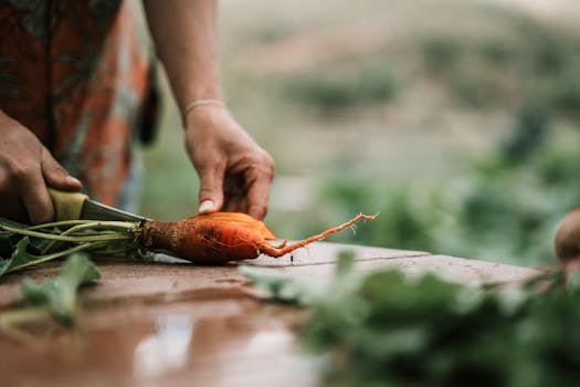 nutrient-rich foods on a table