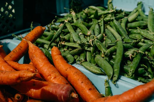 fresh vegetables from local farm