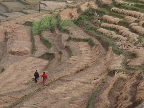 farmers working together