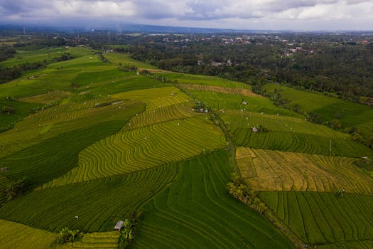 field of diverse crops