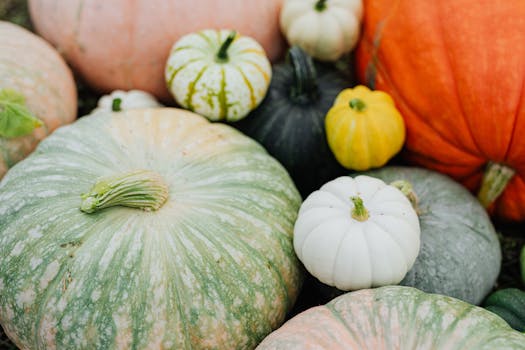 colorful variety of vegetables